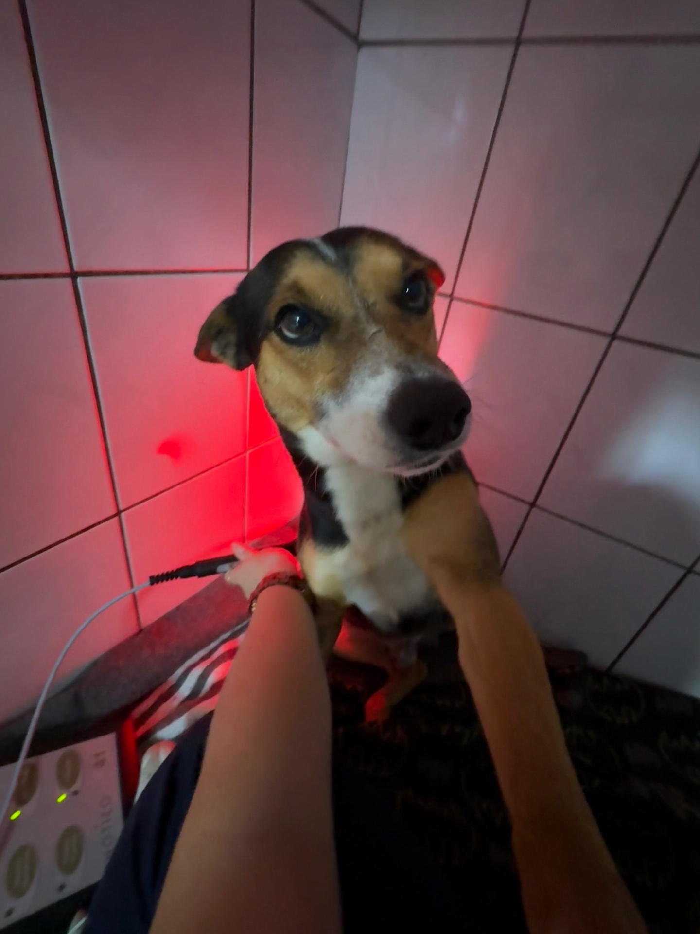 Photizo Light Therapy